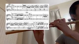 71024 practice log Ravel Daphnis et Chloe second flute excerpt from 214 [upl. by Adnalue]