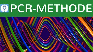 PCRMethode  Vervielfältigung von DNA  PolymeraseKettenreaktion einfach erklärt  DNAAnalyse 3 [upl. by Ress]