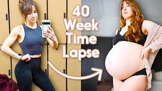 Adorable Pregnancy Time Lapse  Incredible Week by Week Transformation third pregnancy [upl. by Admana]