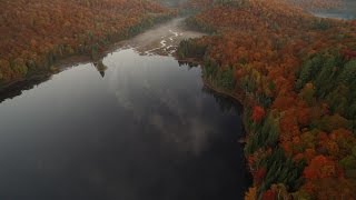 Algonquin Outfitters  Aerial View [upl. by Namialus]