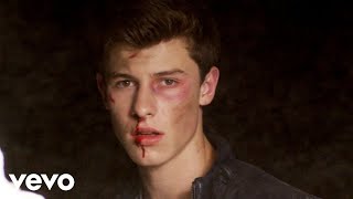 Shawn Mendes  Stitches Official Music Video [upl. by Matthus]