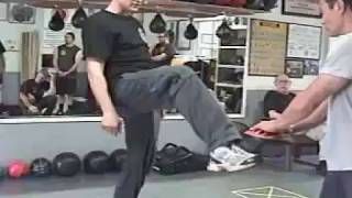 Jeet Kune Do Scoop Kick [upl. by Einaffets]