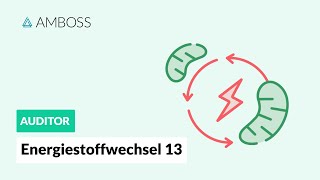 Energiestoffwechsel Teil 13 mit Molekülstrukturen  Fettsäuresynthese  AMBOSS Auditor [upl. by Lebiram]