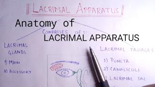 Lacrimal Syringing and Probing  Technique and Interpretation of results [upl. by Nibor357]