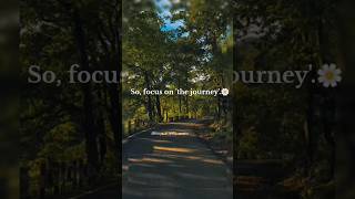 Focus on the journey🌼shorts poetry shayari inspirational motivation viralshorts shortsfeed [upl. by Kerr777]