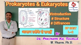 Prokaryotic Cells  Introduction and Structure  Post 16 Biology A Level PreU IB AP Bio [upl. by Det]