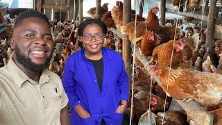 How To Start A Successful Poultry Farm With Little Capital On a Small Piece of Land amp Make Millions [upl. by Muire]