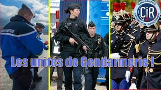 TOUT SAVOIR SUR LA GENDARMERIE [upl. by Nomrac822]