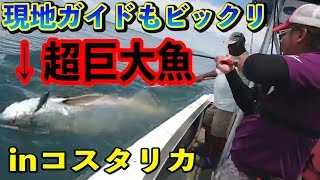 【コスタリカエクスペディション Part1】現地ガイドもビックリの超巨大魚が釣れた！ [upl. by Ambie]