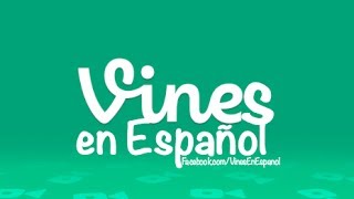 Vines en Español  Recopilación 2013 [upl. by Marj]