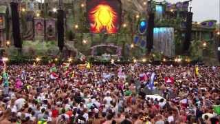 Thomas Gold feat Kaelyn Behr  Remember Axwell Live  Tomorrowland 2013 [upl. by Dennett601]