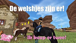 De welsh pony is er 😍 II Ik koop er twee II Star Stable Online [upl. by Sanfred]