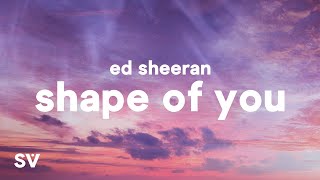 Ed Sheeran  Shape Of You Lyrics [upl. by Cathleen]