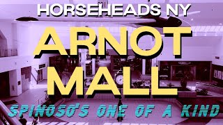 ARNOT MALL  HORSEHEADS NY [upl. by Urbanus]