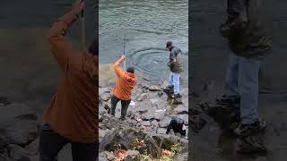 Its not easy to put a really big salmon in a net I ❤️ salmon fishing Vedder river Canada 🇨🇦 10 [upl. by Costanza]