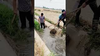 Irrigation cement ditch dredging process [upl. by Reid711]