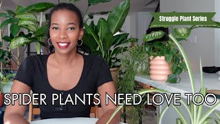 Repotting a spider plant  Struggle Plant Series [upl. by Azil]