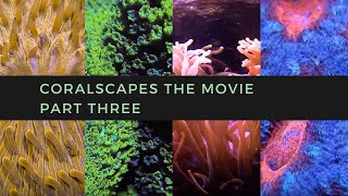 Coralscapes the Movie  Part Three [upl. by Alien]