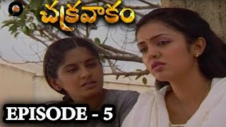 Episode 5  Chakravakam Telugu Daily Serial [upl. by Devad]