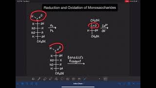 63 Reduction and oxidation of monosaccharides WITH ERROR PLEASE READ DESCRIPTION [upl. by Harod]