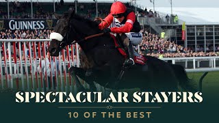 TOP 10 STAYERS HURDLES AT THE CHELTENHAM FESTIVAL [upl. by Milena]