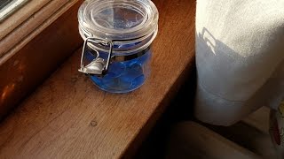 DIY  Natural Bug Repellent Using Pepperment Oil [upl. by Noiram]