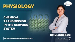 Physiology  Chemical Transmission in the Nervous System  Raaonline nervoussystem physiology [upl. by Dewain]