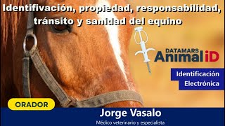 Identificación propiedad responsabilidad tránsito y sanidad del equino  Jorge Vasalo [upl. by Luis914]