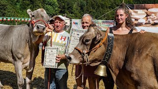 Fiera Zootecnica di Valtorta 2019 [upl. by Drolyag747]