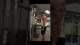 Single Arm Tricep Extension [upl. by Owen]