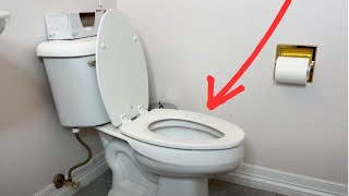 Top 5 toilet cleaning hacks that ACTUALLY work [upl. by Haron443]