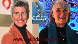 Sondra Barrett  Your Cells Are Listening  quotInsights at the Edgequot Podcast [upl. by Pablo]