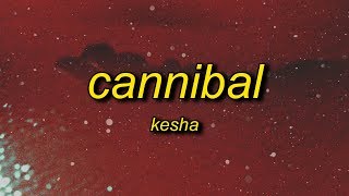 Kesha  Cannibal Lyrics  whenever you tell me im pretty [upl. by Yrannav]