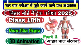 Class 10th ke Biology आहार नाल संरचना के बारे में बताया गया है  3D Animation  100 Viral Pepar [upl. by Cahan741]