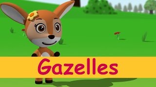 Gazelles  Toyor Baby English [upl. by Auqenaj]