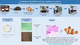 Boosting Nemos Brightness The Role of Carotenoids [upl. by Ddart291]