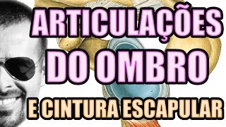 Vídeo Aula 118  Anatomia Humana Articulação do Ombro Cintura Escapular e Síndrome do Impacto [upl. by Phonsa]