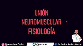 Fisiología  Union Neuromuscular Liberación y Secuestro de Acetilcolina [upl. by Mellen]