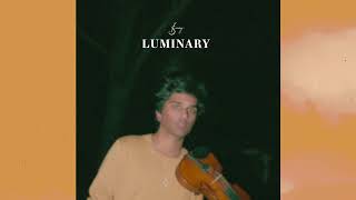 joel sunny  luminary original song  official audio [upl. by Camilia768]