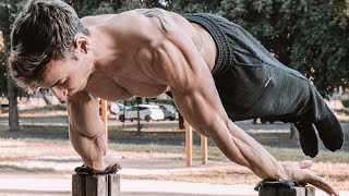 Worlds Strongest Calisthenics amp Street Workout  Andrea Larosa [upl. by Tiffany714]