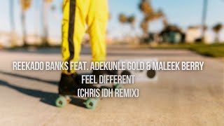 Reekado Banks Feat Adekunle Gold amp Maleek Berry  Feel Different Chris IDH Remix [upl. by Iduj395]