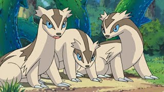 Zigzagoon and Linoone Pokemon all Attacks pokemon zigzagoon linoone all new attacks [upl. by Anaid]