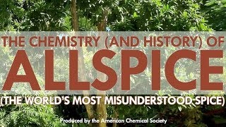 The Worlds Most Misunderstood Spice Allspice [upl. by Pillyhp]