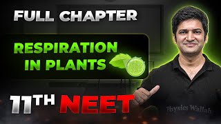 Respiration in Plants FULL CHAPTER  Class 11th Botany  Arjuna NEET [upl. by Erleena198]