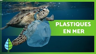 PLASTIQUES en MER 🛍️ 🌊 Causes conséquences et solutions [upl. by Anaujik155]