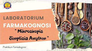 Praktikum Farmakognosi Pengamatan Mikroskopis Simplisia Amylum [upl. by Narut346]