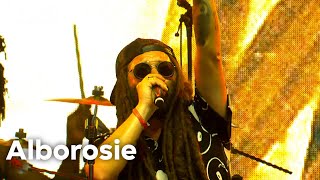 Alborosie  live at Lowlands 2023 [upl. by Weigle]