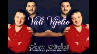 COSTI IONITA amp VALI VIJELIE  INIMIOARAMI BATE PENTRU TINE OFFICIAL TRACK [upl. by Bibby411]