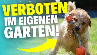 5 Dinge die in DEINEM eigenen Garten verboten sind [upl. by Heins]