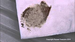 Amido Black 10B Process for Bloody Fingerprints [upl. by Dnaletak146]